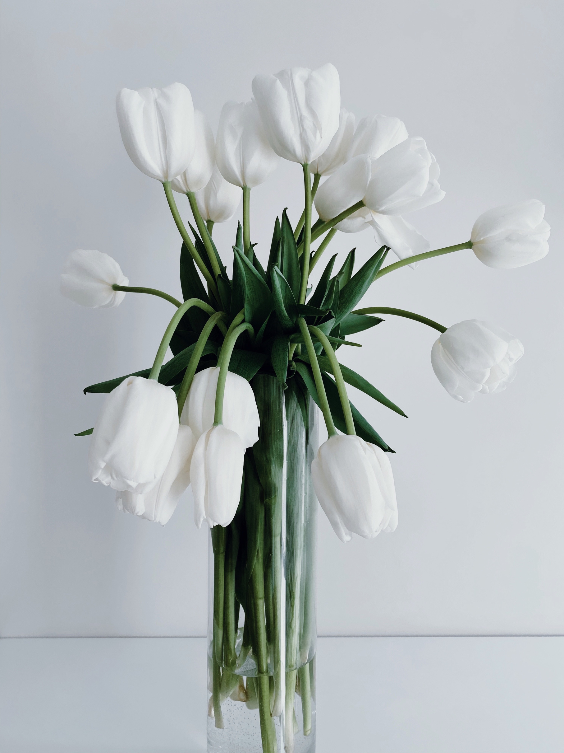 White Flowers in Close Up Photography